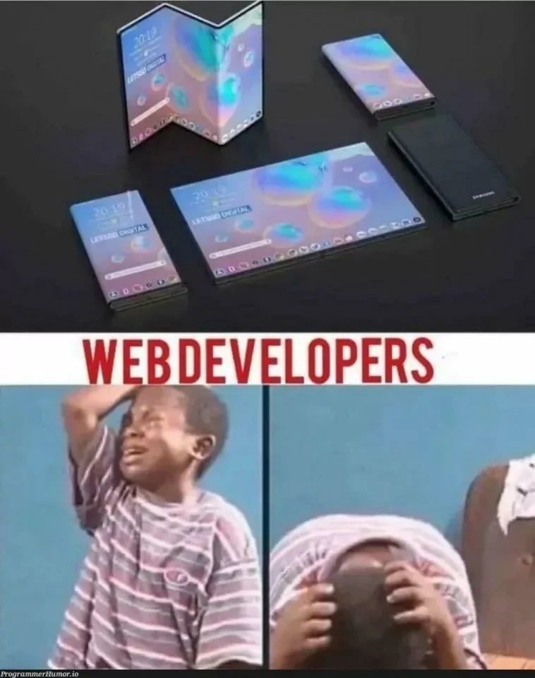 Web developer phone meme